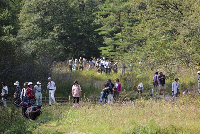 ラムサール条約 矢並湿地 2013-10-12_e0251895_21251672.jpg