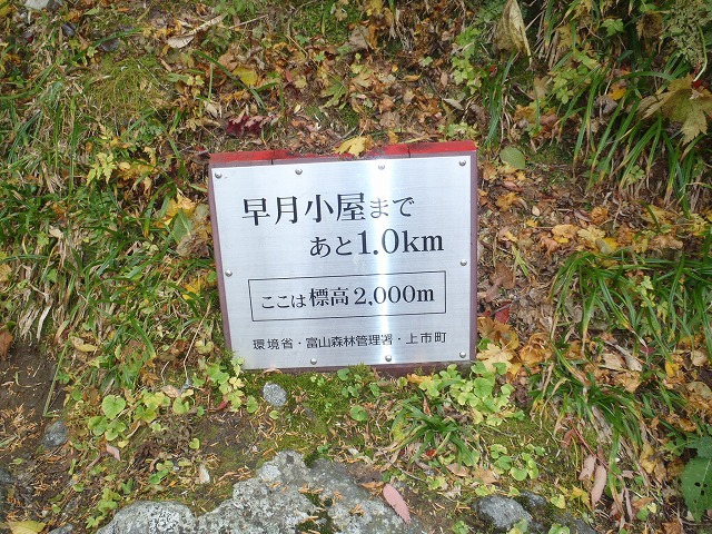 試練と憧れ!えれぇこったの劔 早月尾根 20131009~10(day1)_c0147398_14371813.jpg
