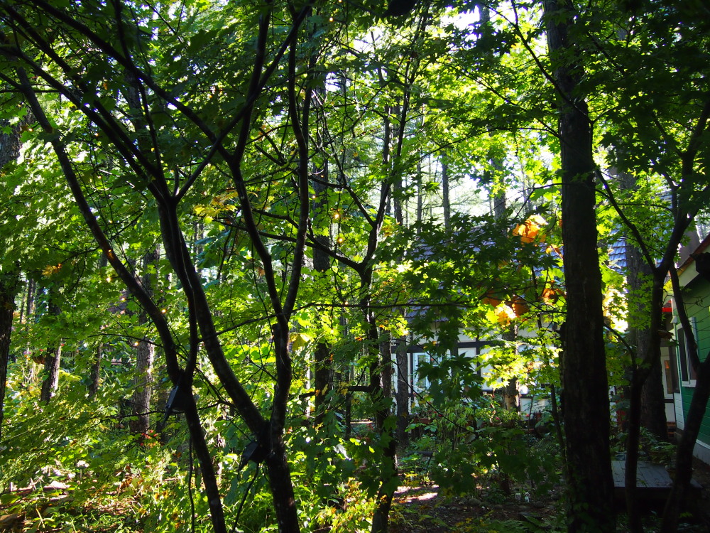 f0276498_02220.jpg
