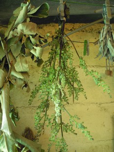 e0206902_22252657.jpg