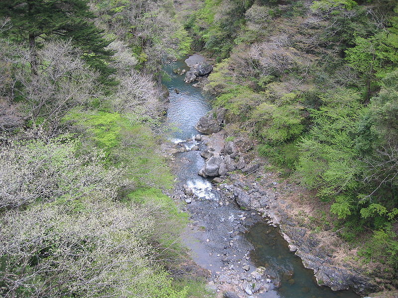 e0075412_0445656.jpg