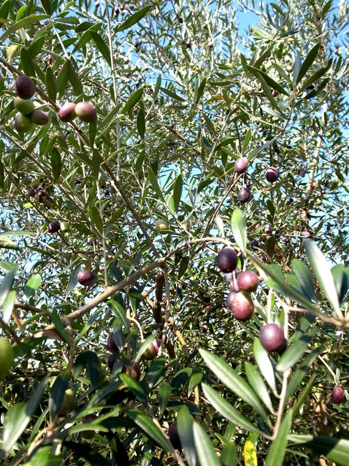 f0150413_993279.jpg