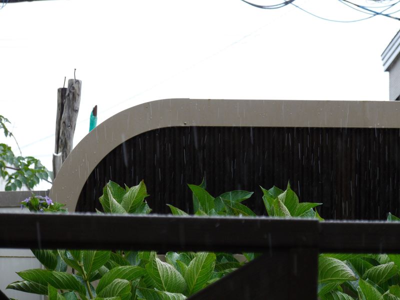 くもりのち晴れのち雨時々止む_c0025115_20573558.jpg