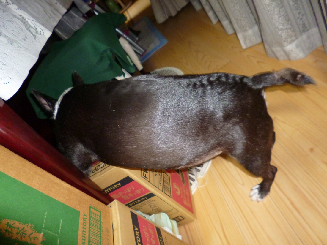 c0280416_23183268.jpg