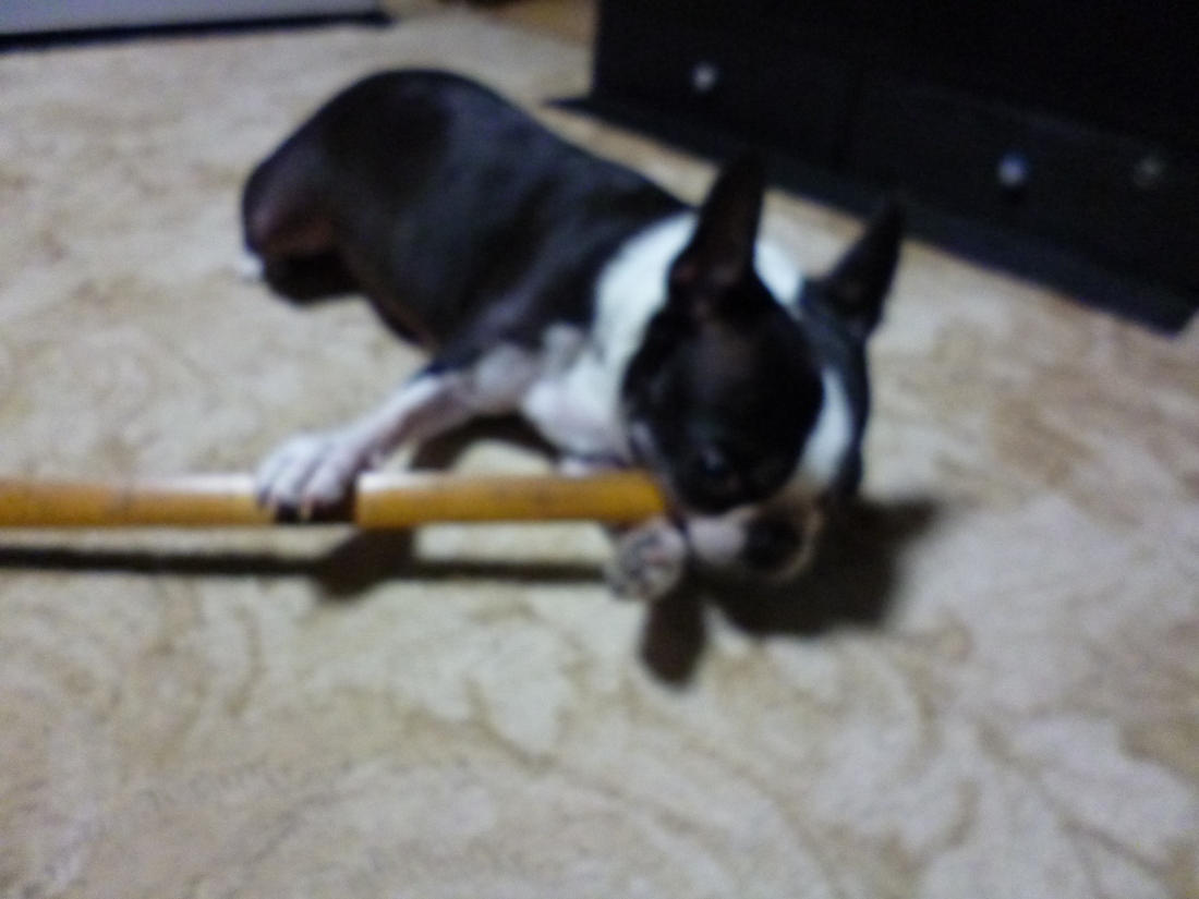 c0280416_2319311.jpg
