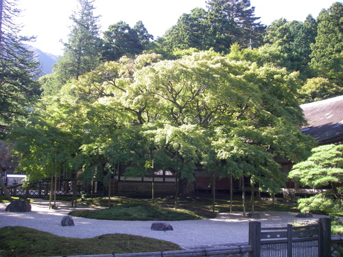 a0315918_1154638.jpg