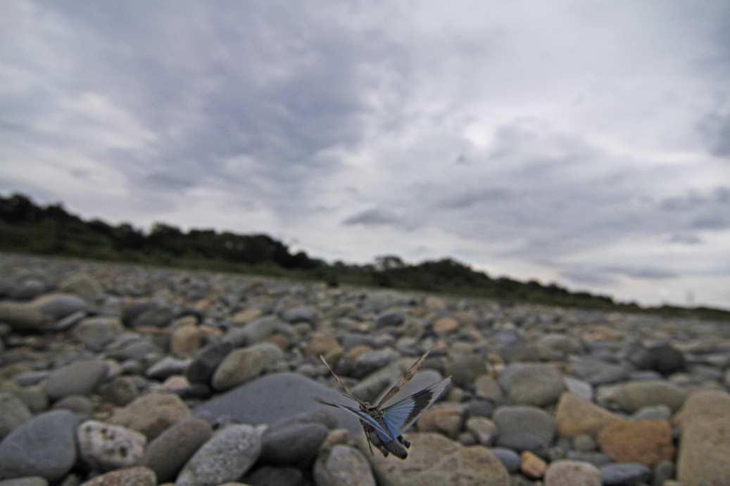 b0146723_22334790.jpg