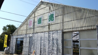 b0308627_15555668.jpg
