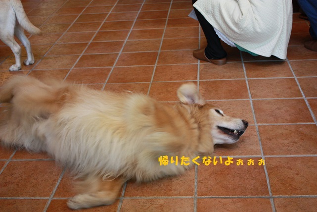 f0114128_13432383.jpg