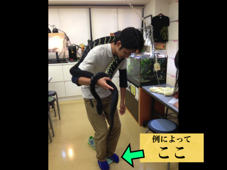 f0266029_1450101.png