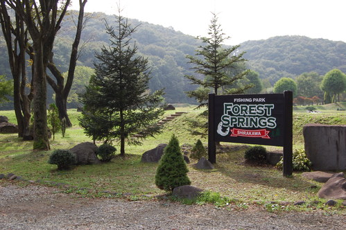 b0113232_2051451.jpg