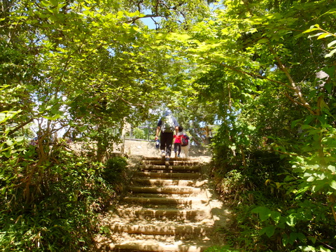 b0281732_5283428.jpg