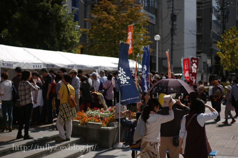 d0108132_155733.jpg