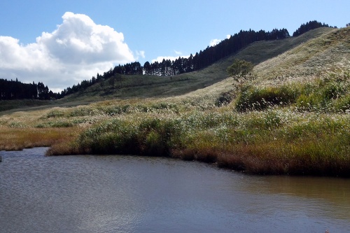 c0038434_23202287.jpg