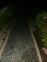 d0320739_19164299.jpg