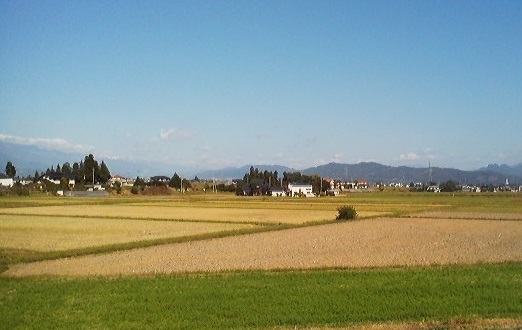a0272241_21203486.jpg