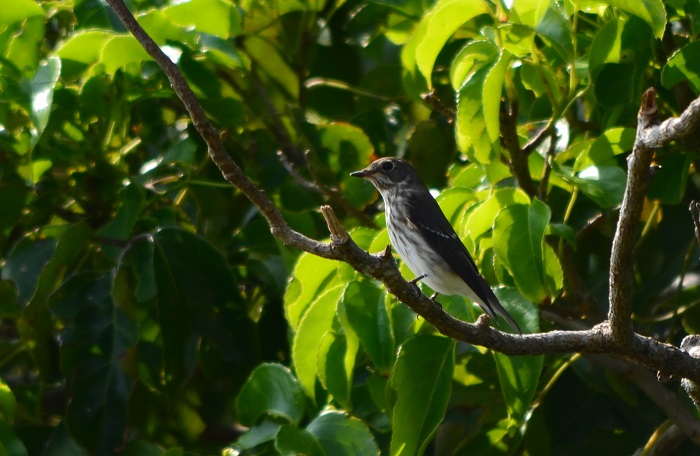 b0288942_7462358.jpg