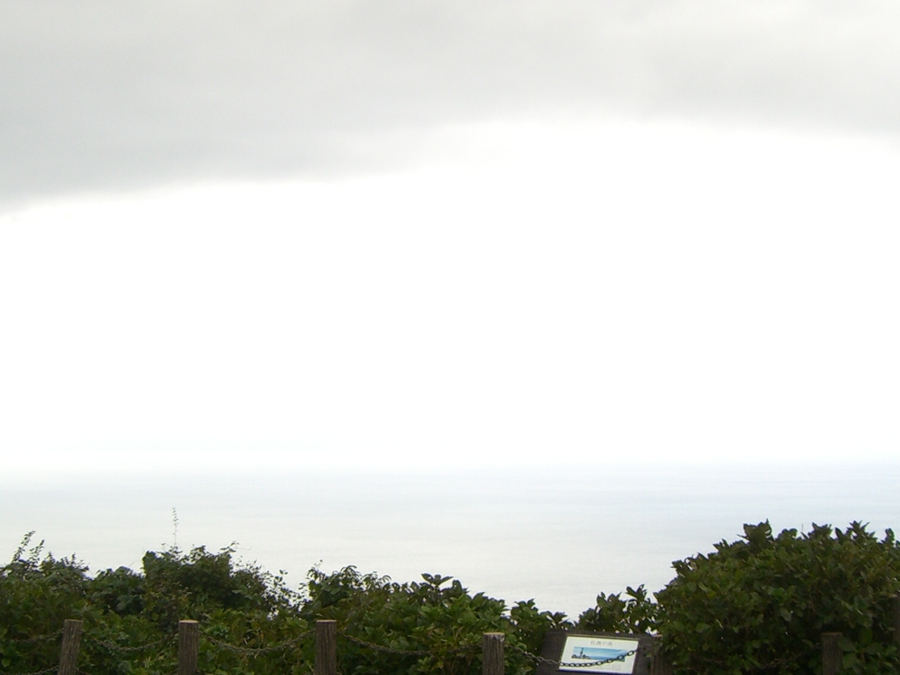 c0264343_1431666.jpg