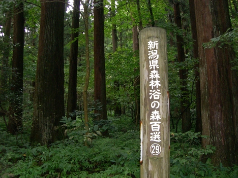 c0264343_1502198.jpg