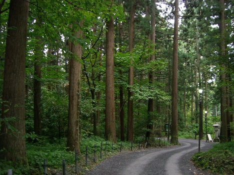 c0264343_1573812.jpg