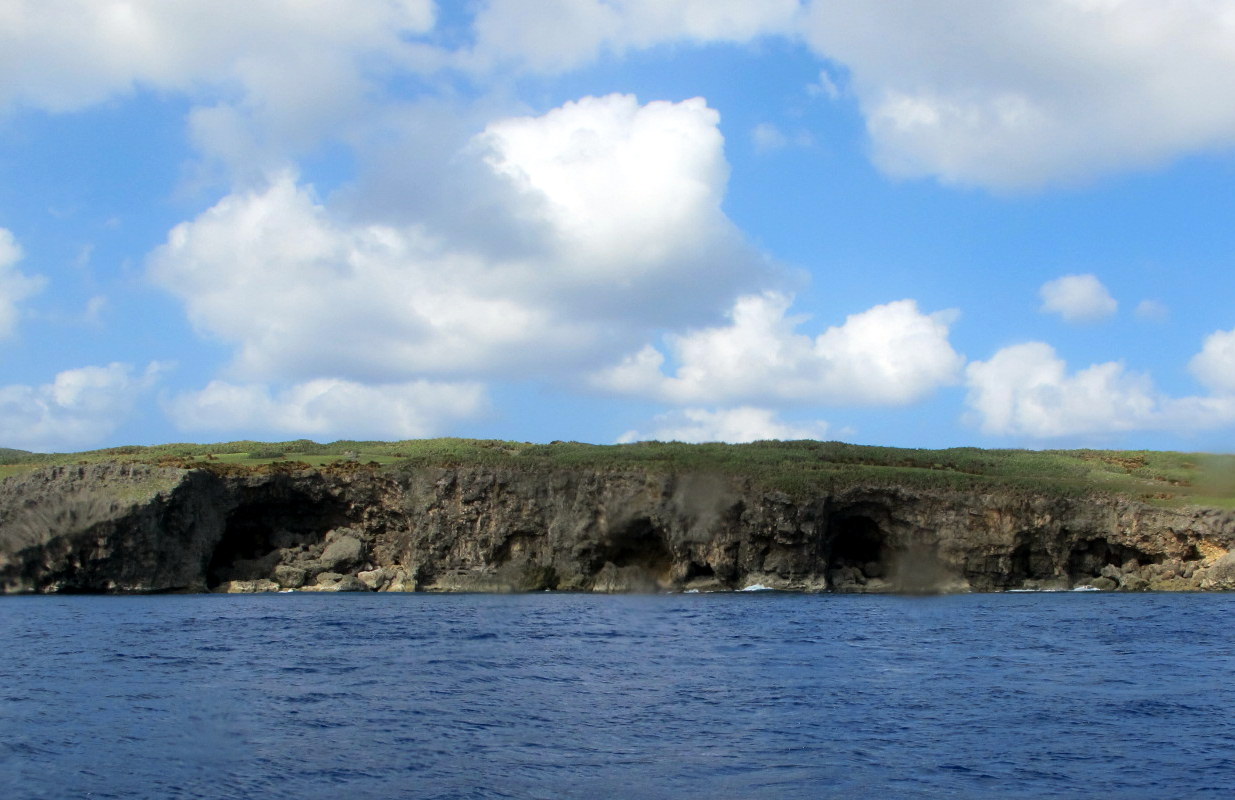 10月14日 南の島_b0158746_200724.jpg