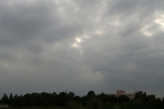 e0126350_23831.jpg