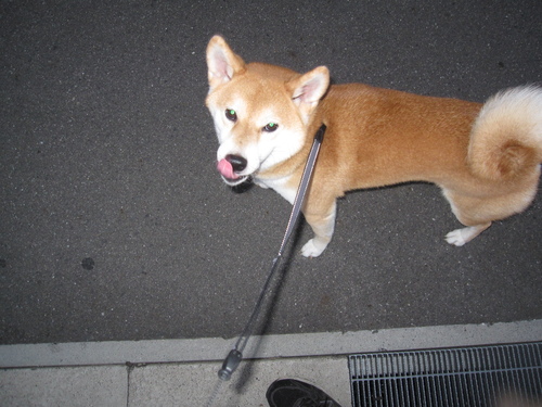 f0245650_8144893.jpg