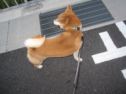 f0245650_816554.jpg