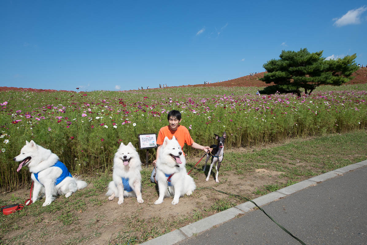 ひたちなかの海浜公園_d0144253_10292945.jpg