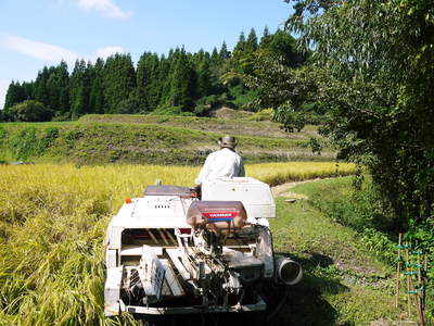 菊池水源棚田米 稲刈り その1_a0254656_17123320.jpg