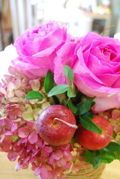 Apple♪_a0201358_18294366.jpg