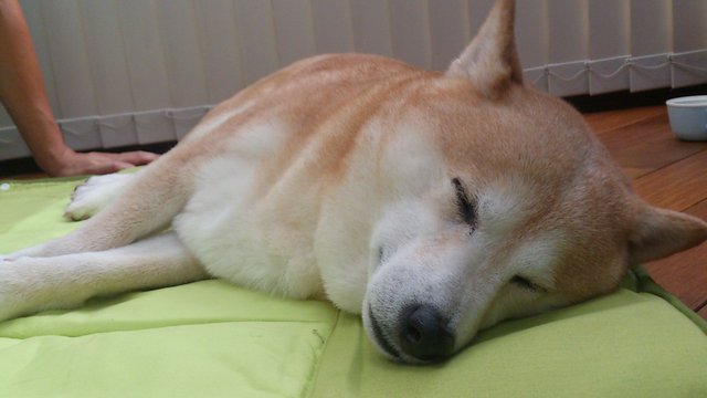 b0274270_1533351.jpg