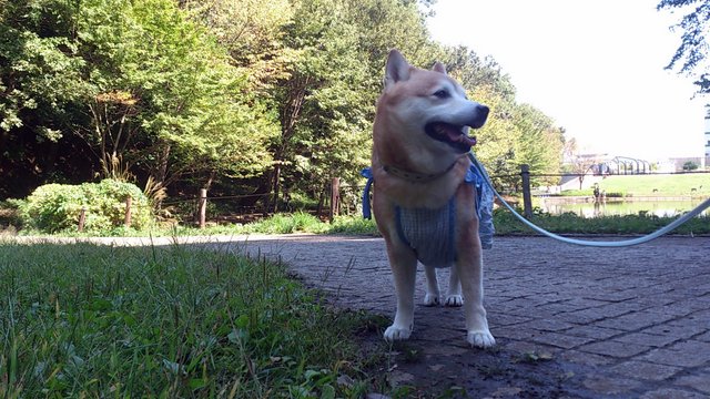 b0274270_15392596.jpg