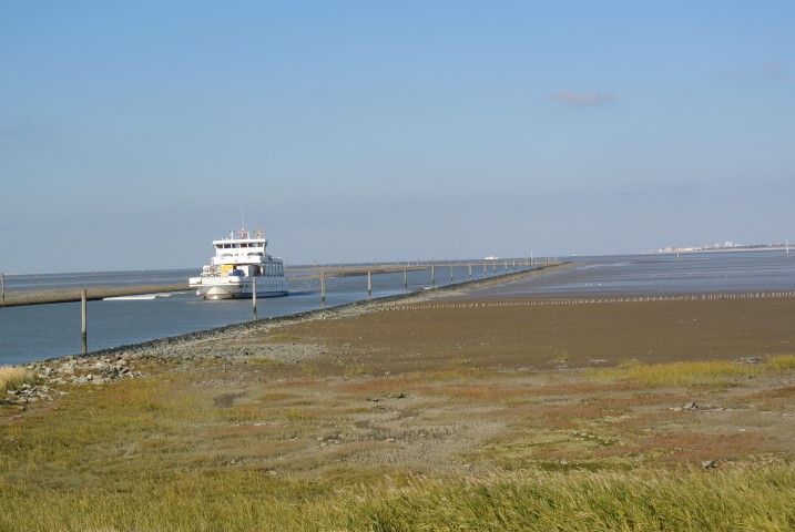 d0116376_0514424.jpg