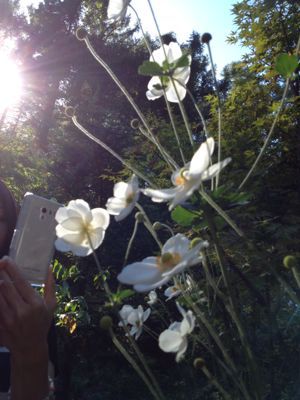 f0138278_6292010.jpg