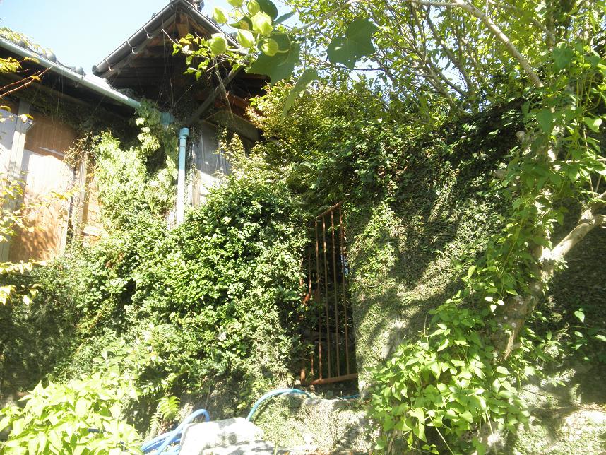 f0101679_2330997.jpg