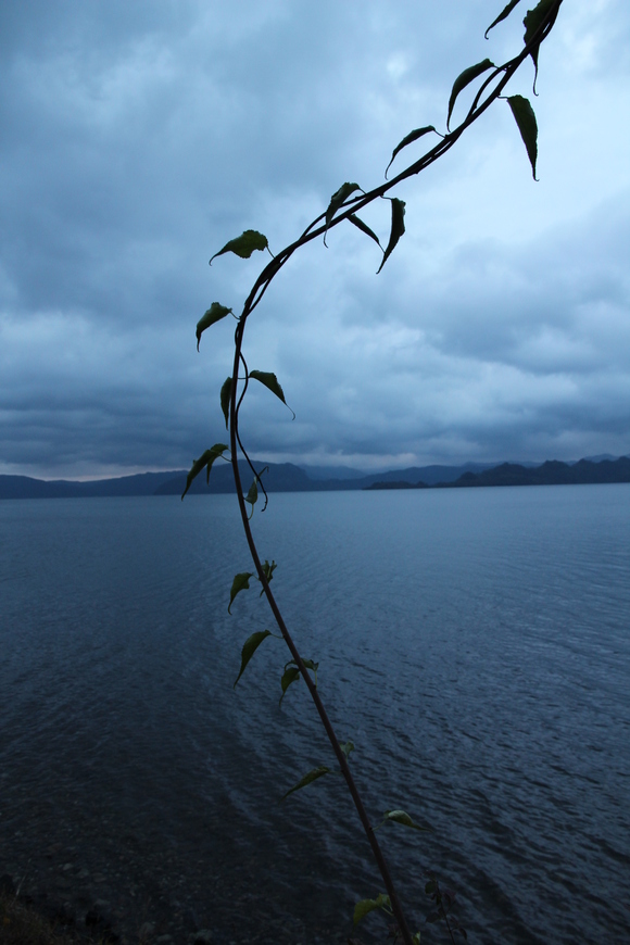 e0024081_151420100.jpg