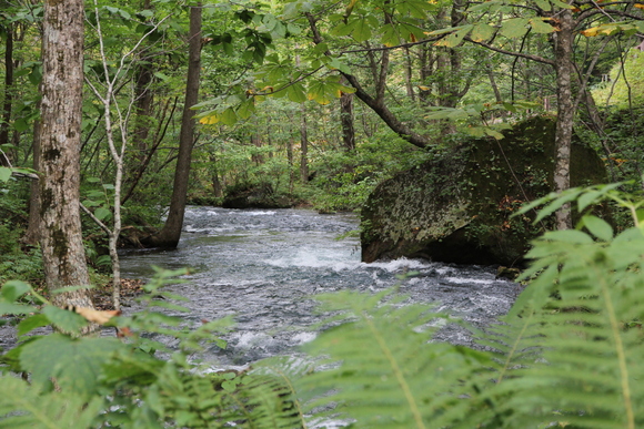 e0024081_15201410.jpg