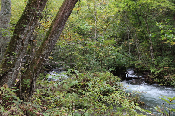 e0024081_15214182.jpg