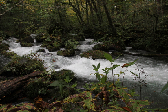 e0024081_15223426.jpg