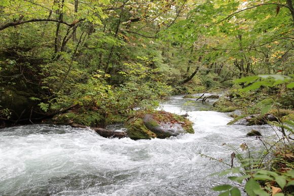 e0024081_15225659.jpg