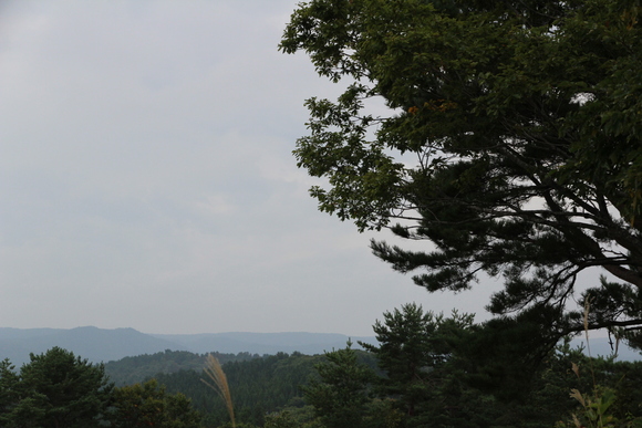 e0024081_15281673.jpg
