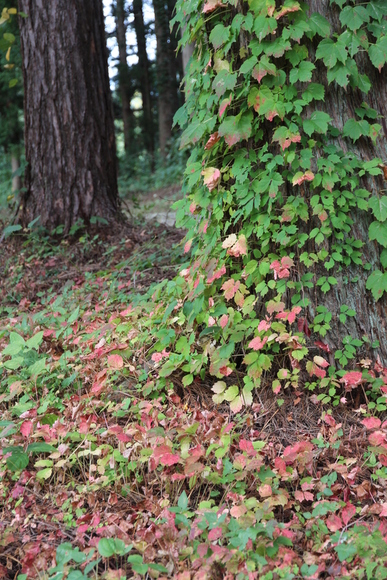 e0024081_15362430.jpg