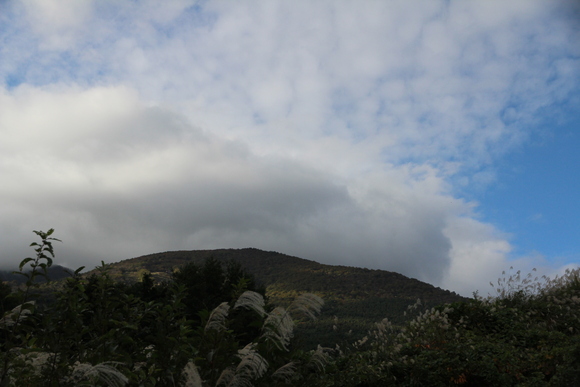 e0024081_15552880.jpg