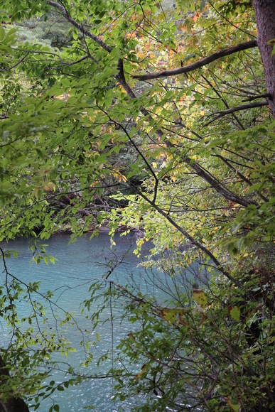 e0024081_1601042.jpg