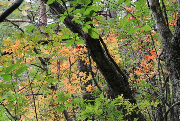 e0024081_1612661.jpg