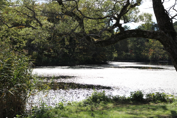 e0024081_16194124.jpg