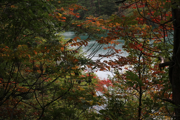 e0024081_162020.jpg