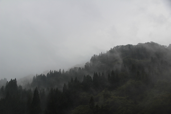 e0024081_1627947.jpg