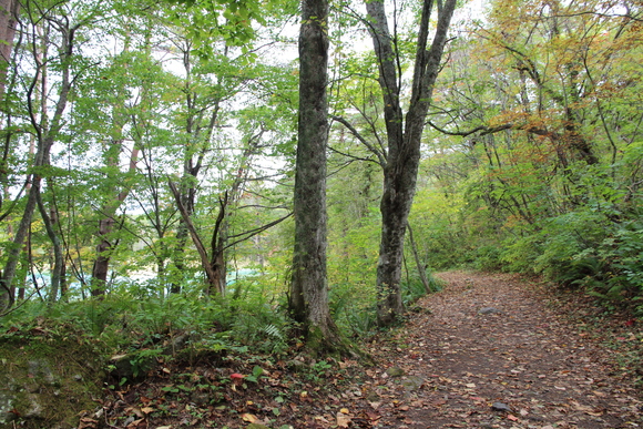 e0024081_1642175.jpg